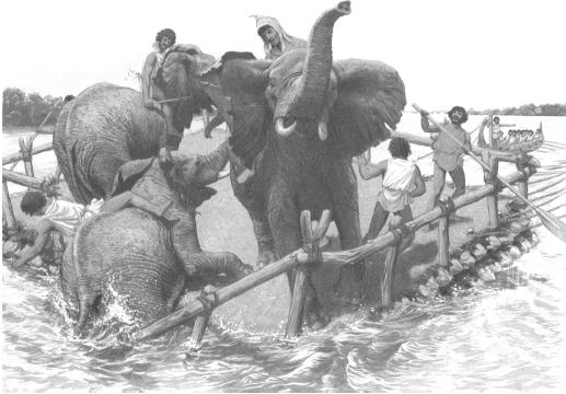 Переправа слонов Ганнибала через реку Рону