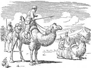 Персидские воины на верблюдах