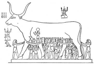 Священная корова у египтян