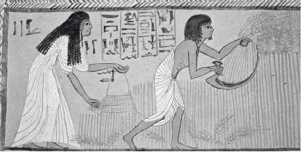 Рай египтян (в царстве Иалу). Оба супруга пашут, сеют и