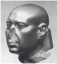 Портрет одного из верховных жрецов Египта. I в. Берлин. Египетский музей