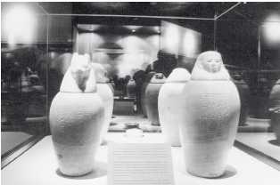 Музей бальзамирования в Луксоре. Сосуды с головами божеств