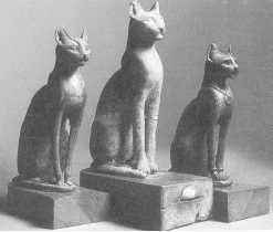 Священные кошки в Египте